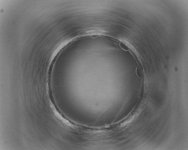 X0000069410941200605192300