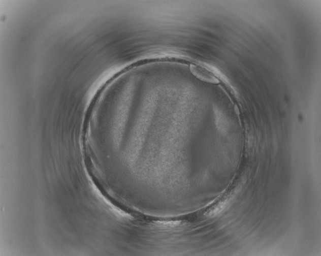 X0000069410943200605192300