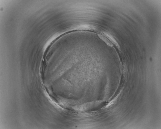 X0000069410944200605192300