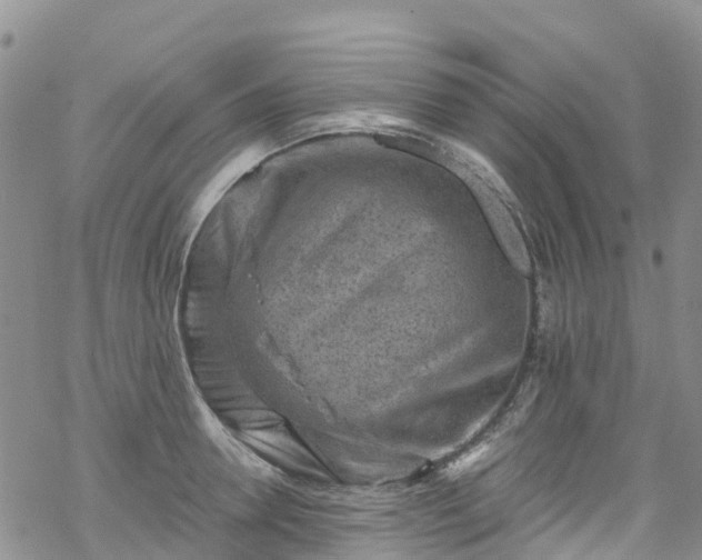 X0000069410946200605192300