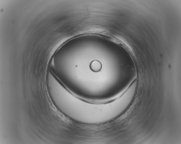 X0000069410948200605192300