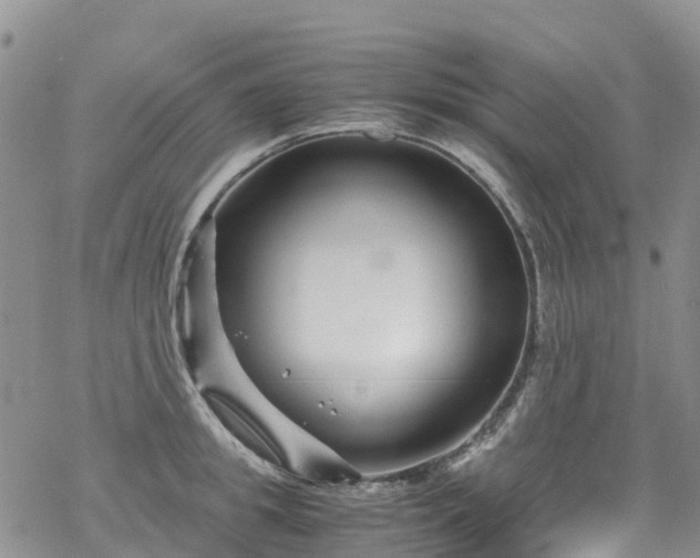 X0000069410949200605192300