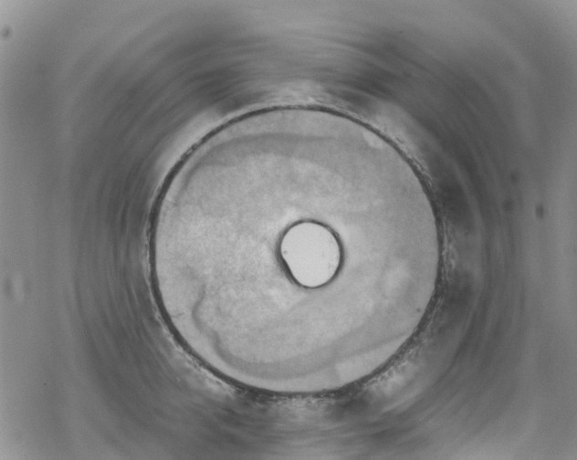 X0000069410950200605192300