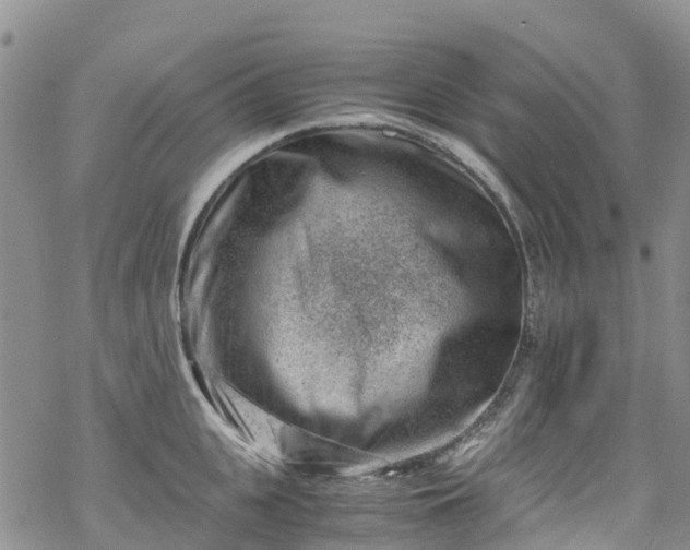 X0000069410951200605192300