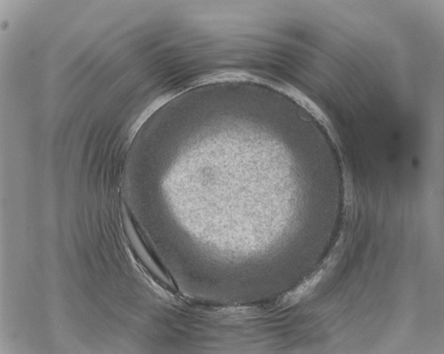 X0000069410953200605192300