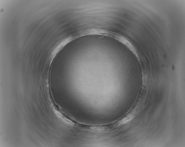 X0000069410954200605192300