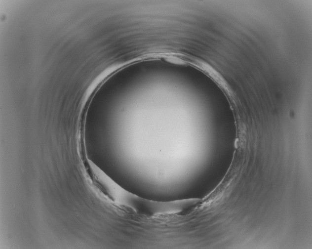 X0000069410955200605192301