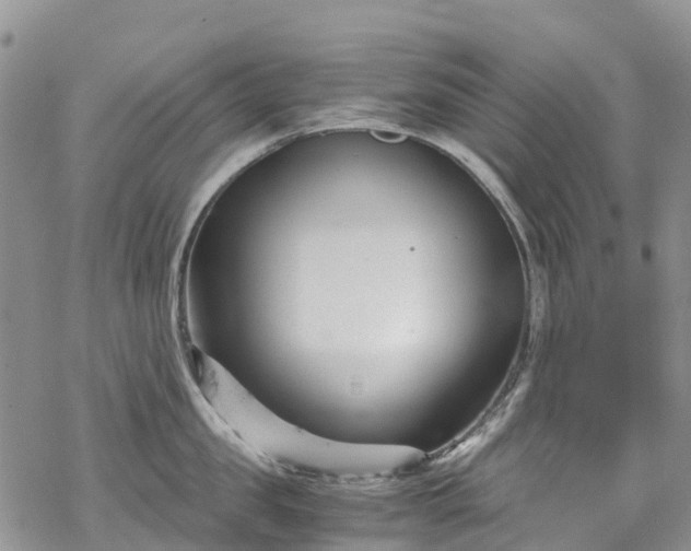 X0000069410957200605192301