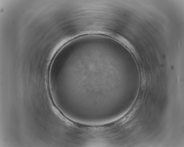 X0000069410958200605192301