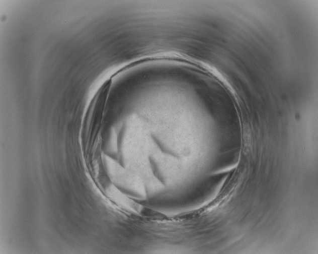 X0000069410959200605192301