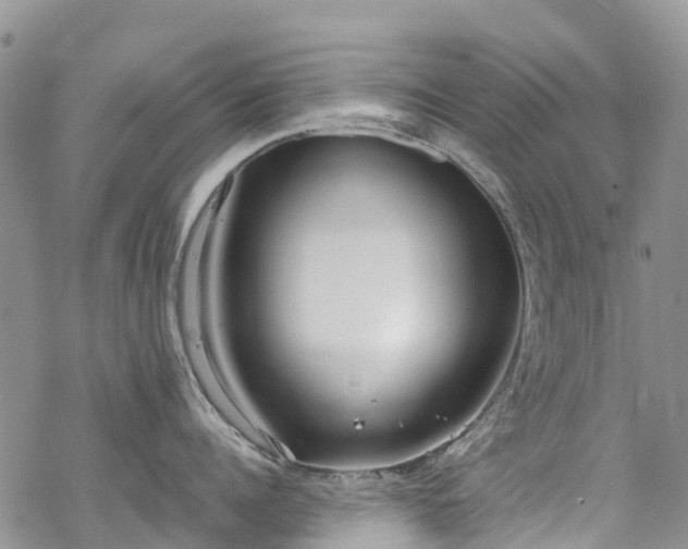 X0000069410960200605192301