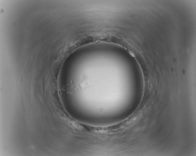 X0000069410961200605192300