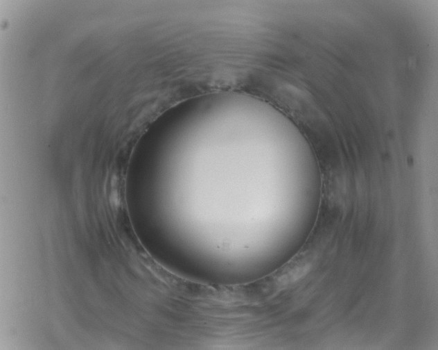 X0000069410962200605192300