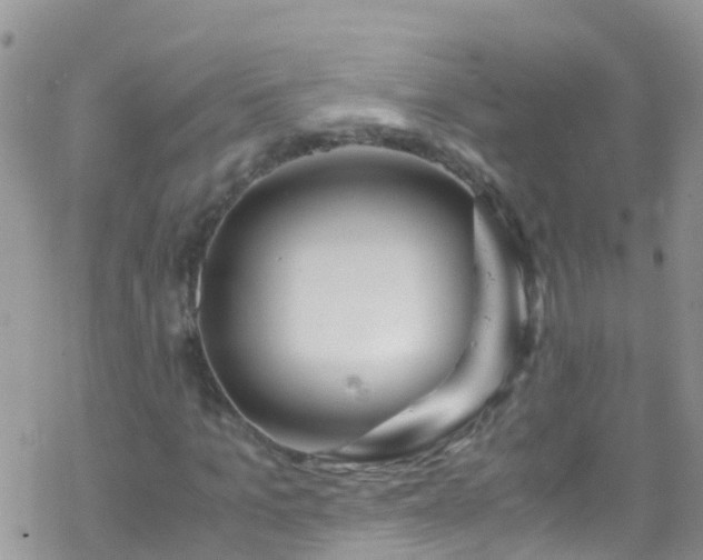 X0000069410965200605192300