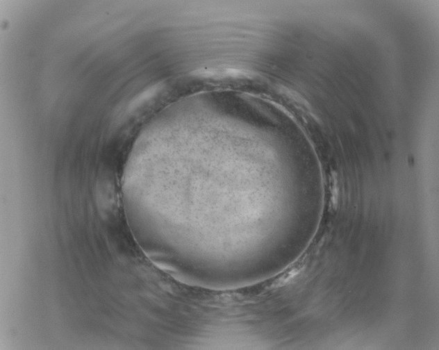 X0000069410966200605192300