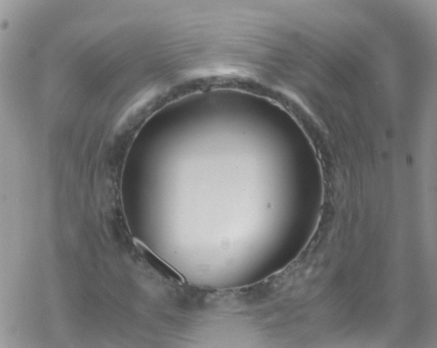 X0000069410967200605192300