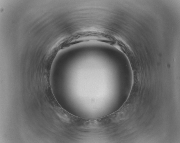 X0000069410968200605192300