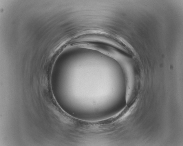 X0000069410969200605192300