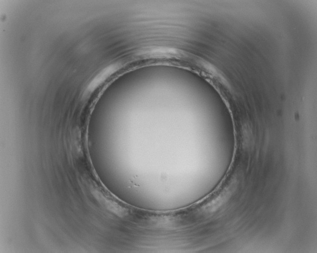 X0000069410970200605192300