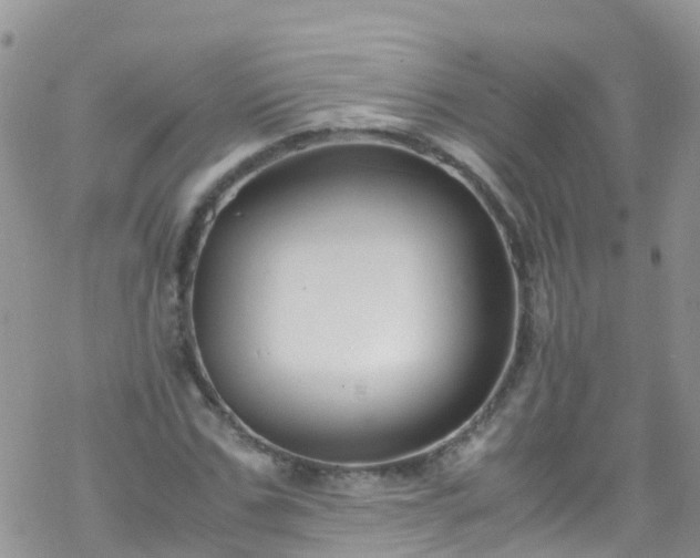 X0000069410971200605192300