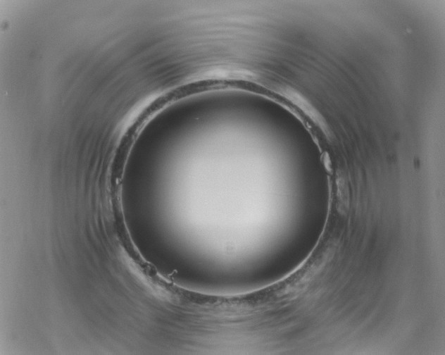 X0000069410972200605192300