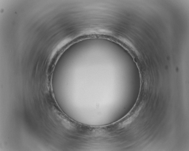 X0000069410974200605192300