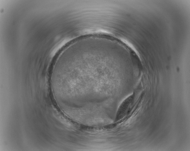 X0000069410975200605192300