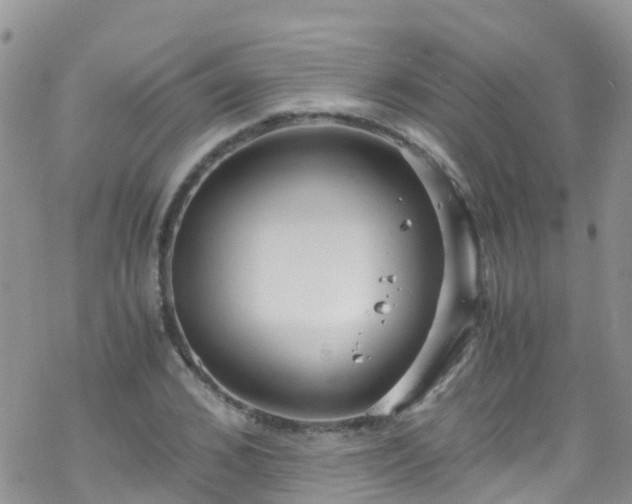 X0000069410976200605192300