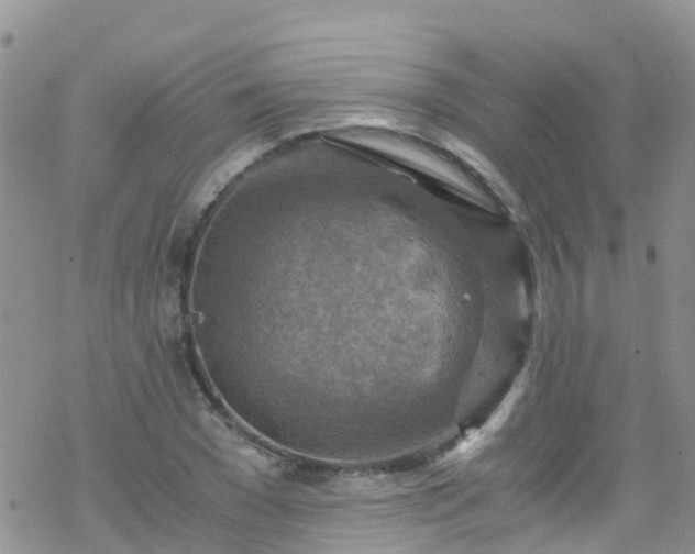 X0000069410977200605192300