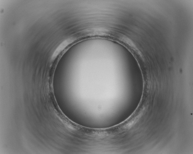 X0000069410978200605192300