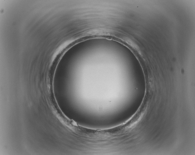 X0000069410981200605192259