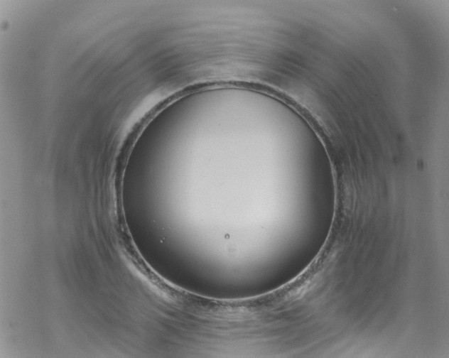 X0000069410982200605192259