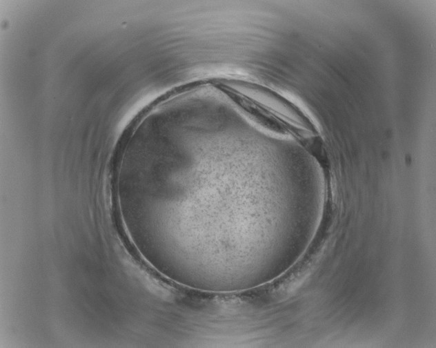 X0000069410983200605192259