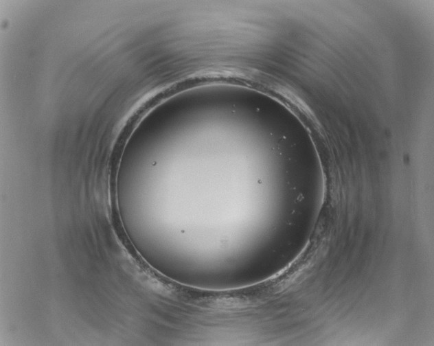 X0000069410984200605192259