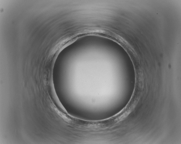 X0000069410985200605192259