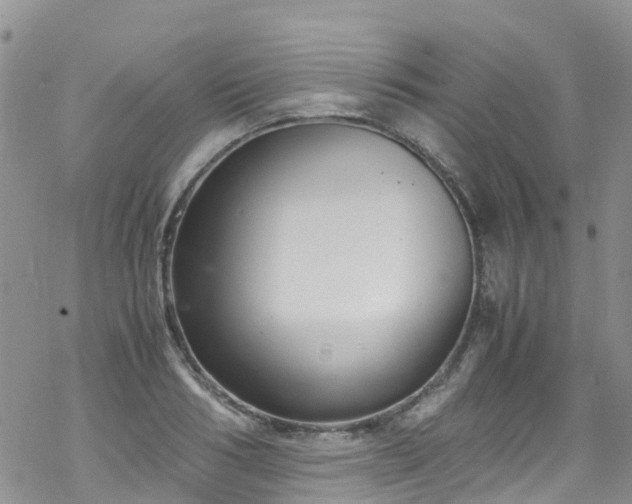 X0000069410986200605192259