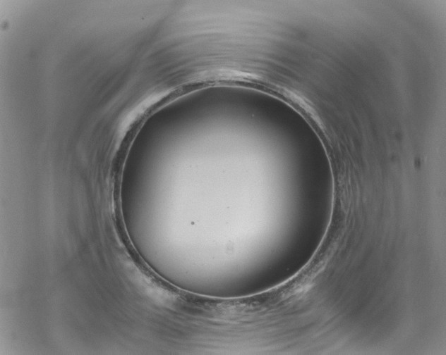 X0000069410987200605192259