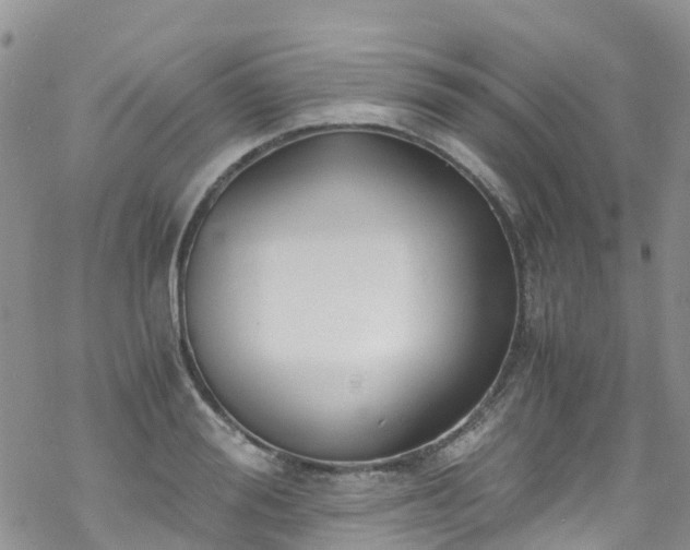 X0000069410988200605192259