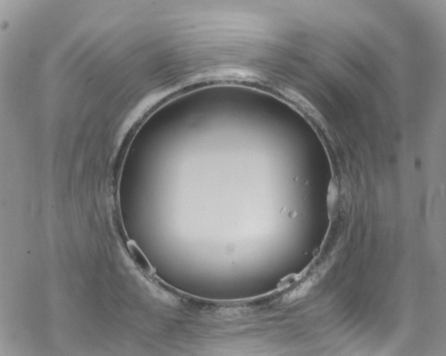 X0000069410989200605192259