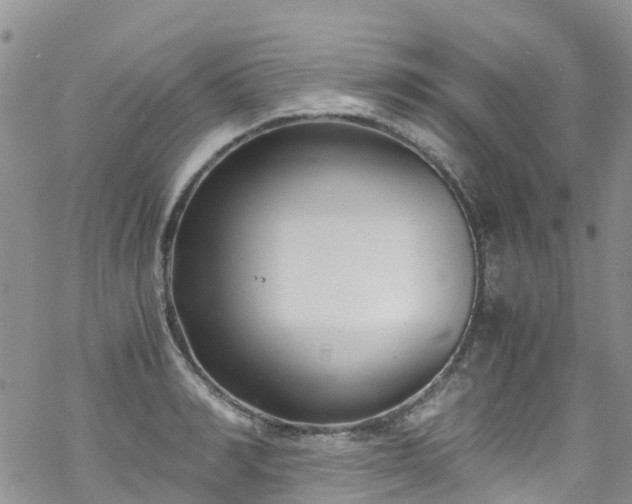 X0000069410990200605192259