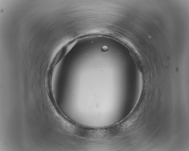 X0000069410991200605192259