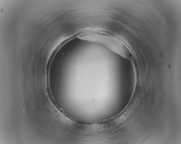 X0000069410992200605192259