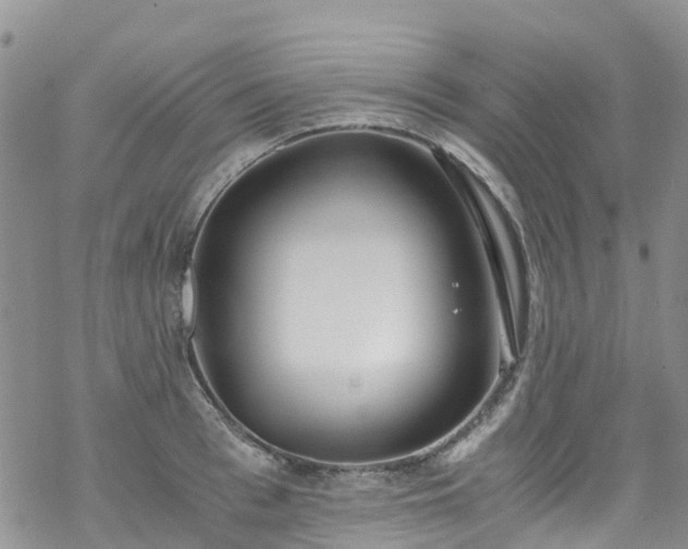 X0000069410993200605192259