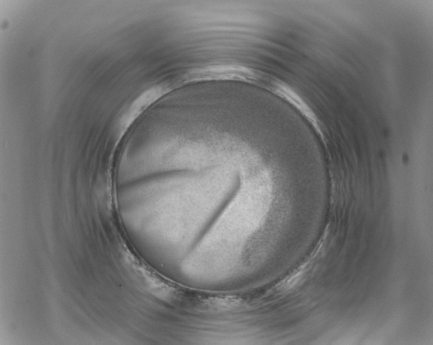 X0000069410994200605192259