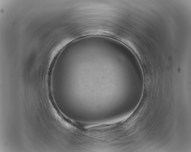 X0000069410995200605192259