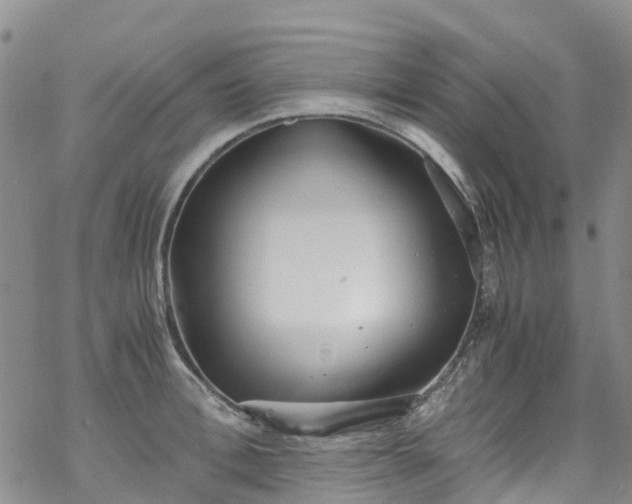 X0000069410996200605192259