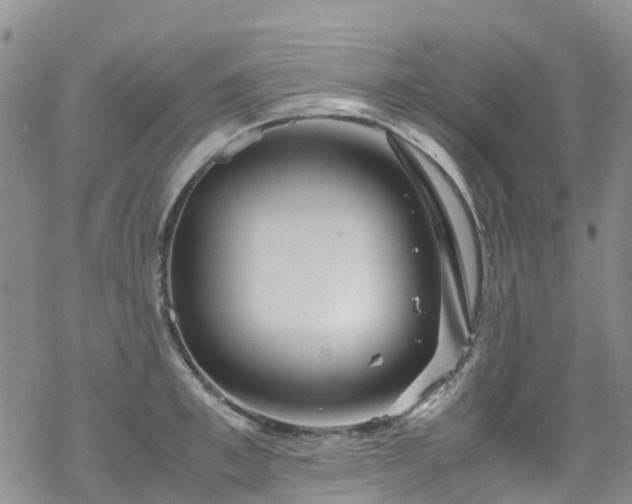 X0000069410997200605192259