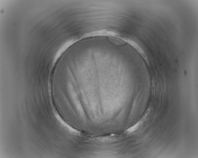 X0000069410998200605192259