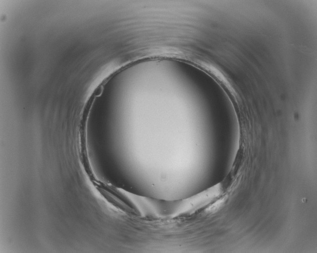 X0000069410999200605192259