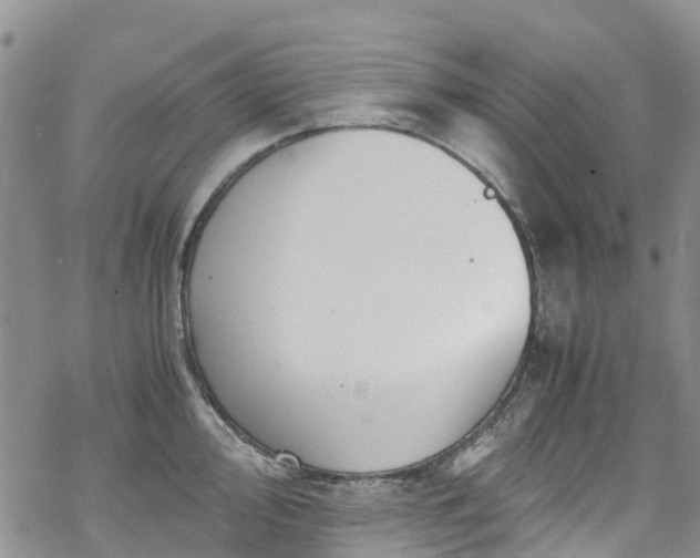 X0000069411000200605192259